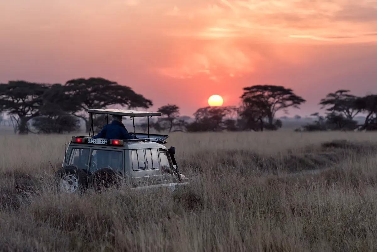 African Savanna & Serengeti